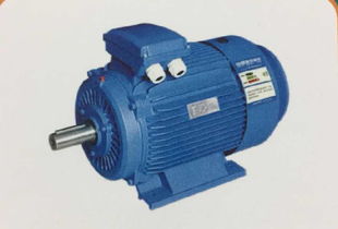 辰馬物資 專業(yè)的西安ykk系列高壓三相異步電動(dòng)機(jī)公司 寶雞西瑪電機(jī)